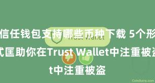 信任钱包支持哪些币种下载 5个形式匡助你在Trust Wallet中注重被盗